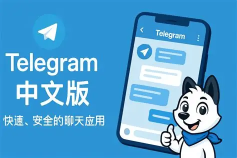 纸飞机App - 安全聊天界面预览